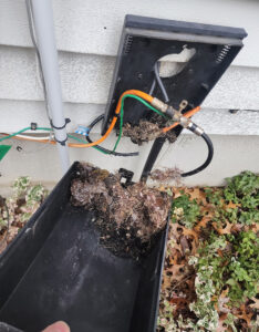 Animal Damage Antenna Repair